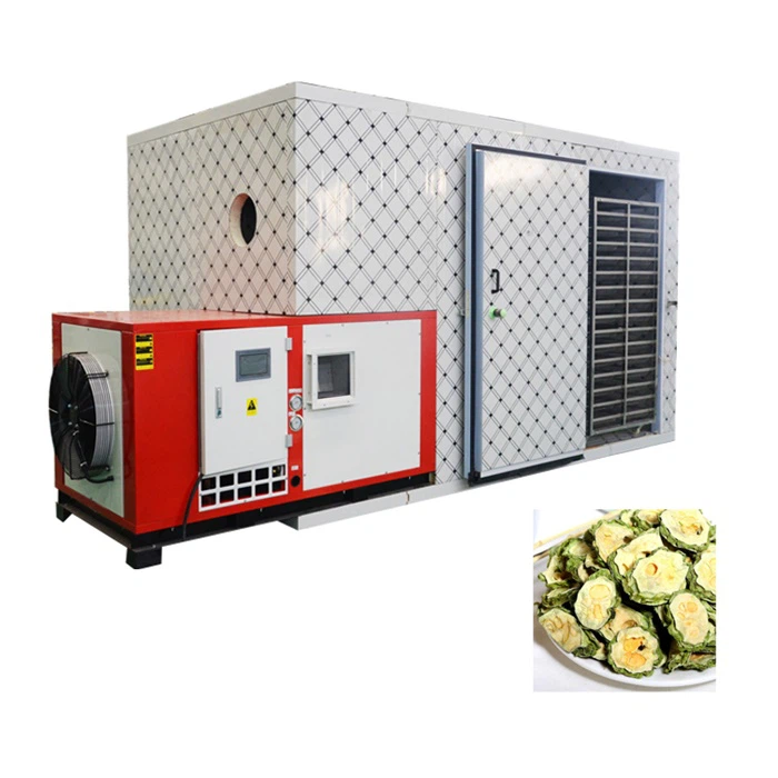 Hot Air Circulation Fruit Drying Machine