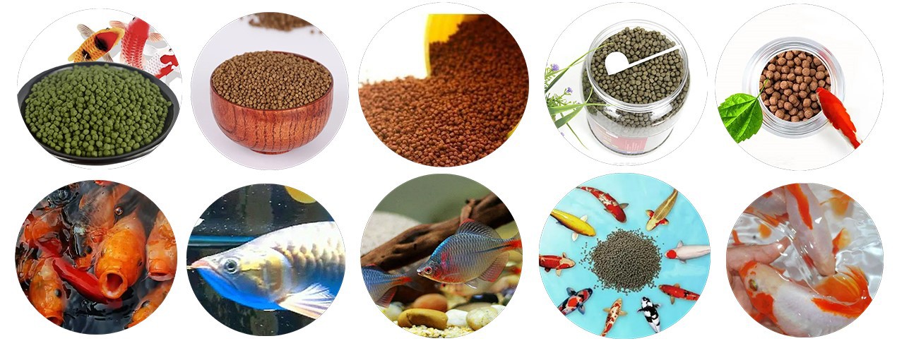 news-1270-500 news-1270-500